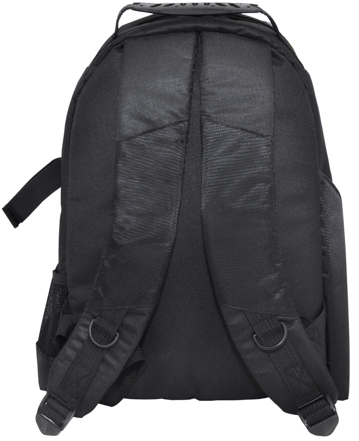 Deluxe Digital Camera/Video Padded Backpack