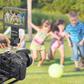 Pro Series Professional Video Stabilizing Handle